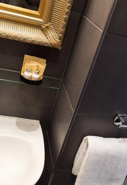Victoria Chatelet Hotel 3*